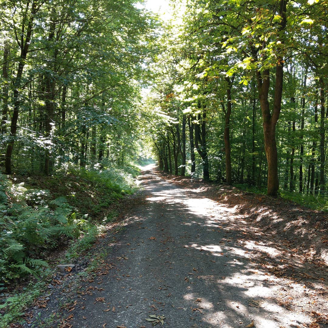 Kastanienweg 