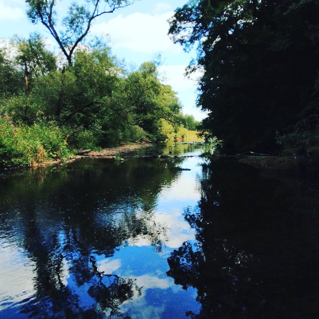 2. Teil des Burgwald Pfades 