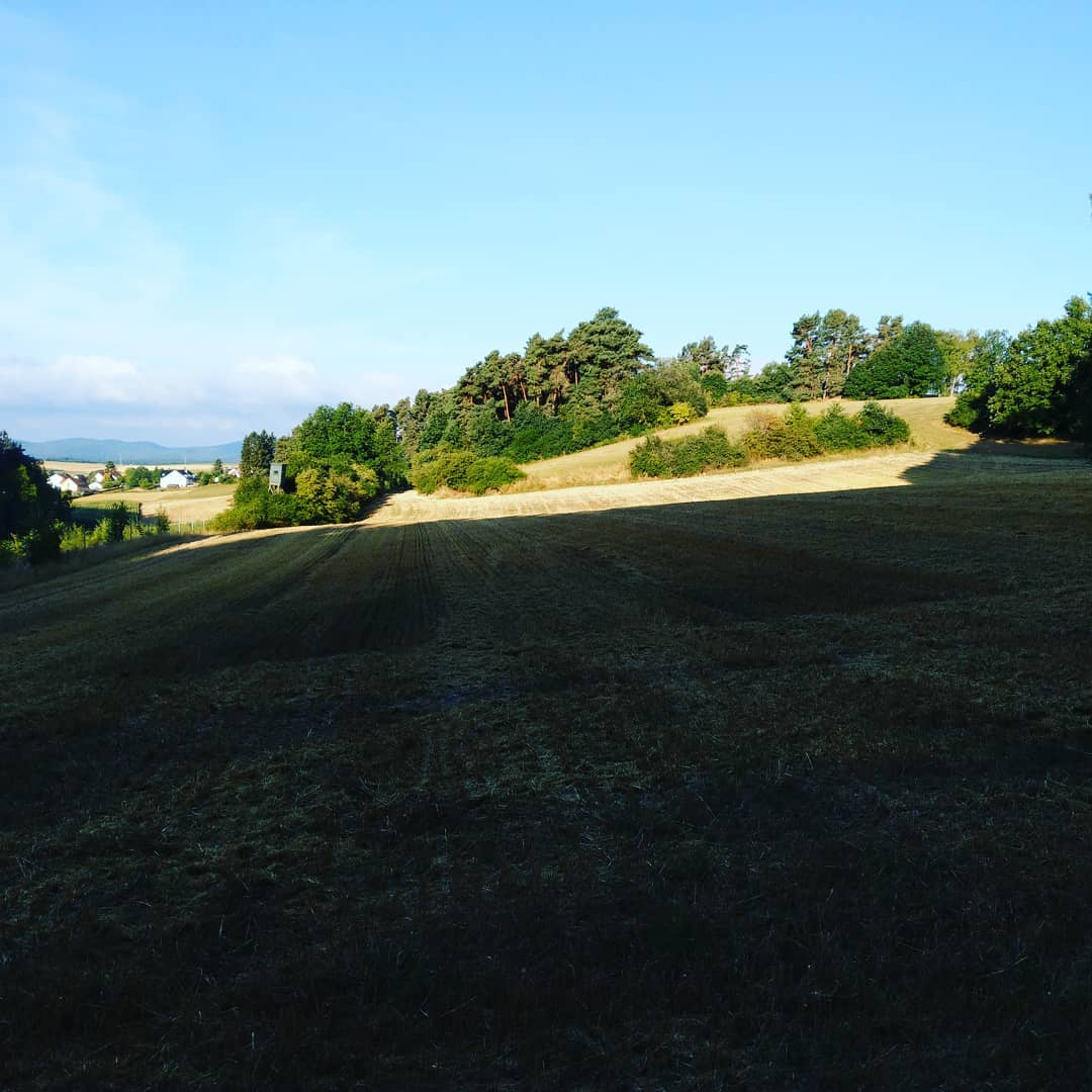 2. Teil des Burgwald Pfades 