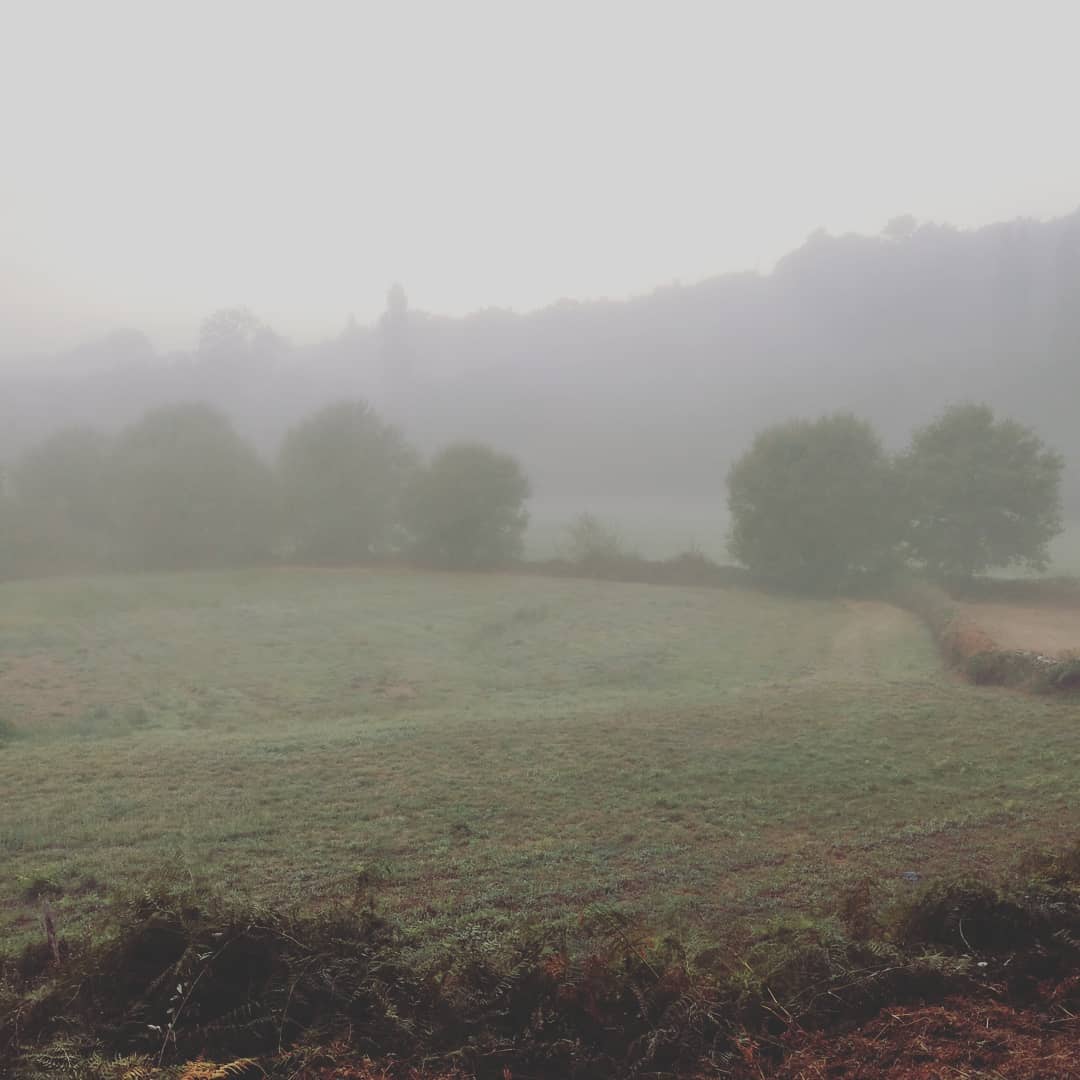 Ein nebliger Start in den Tag 