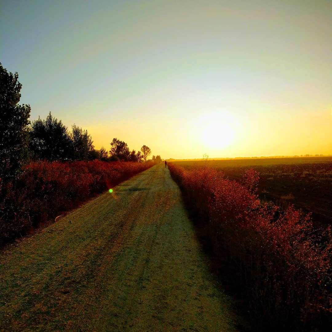 Meseta am Morgen.... 