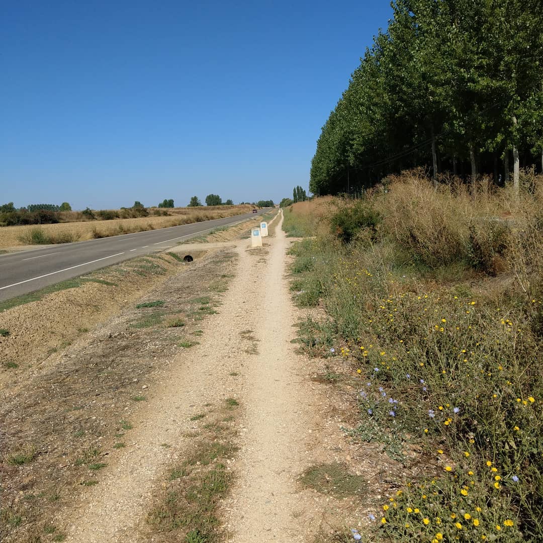 ... Strecke fressen für einen guten Start in die Meseta. Meine Blasen lassen grüßen 