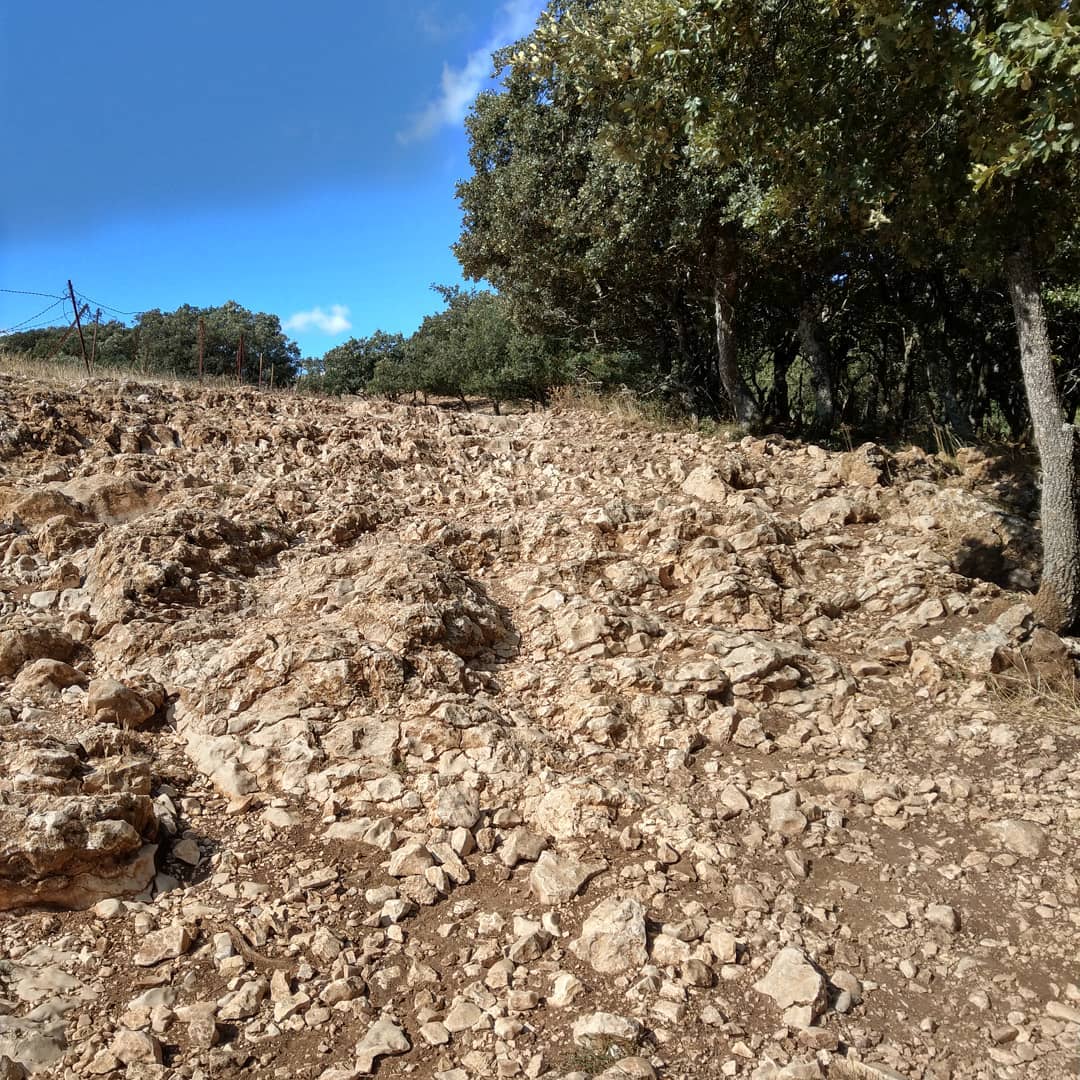 .... Und der Weg wird ein steiniger sein 