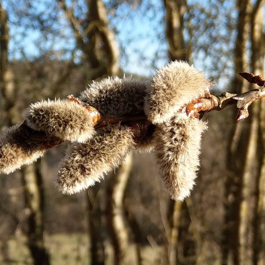 Der Frühling kommt :o) 