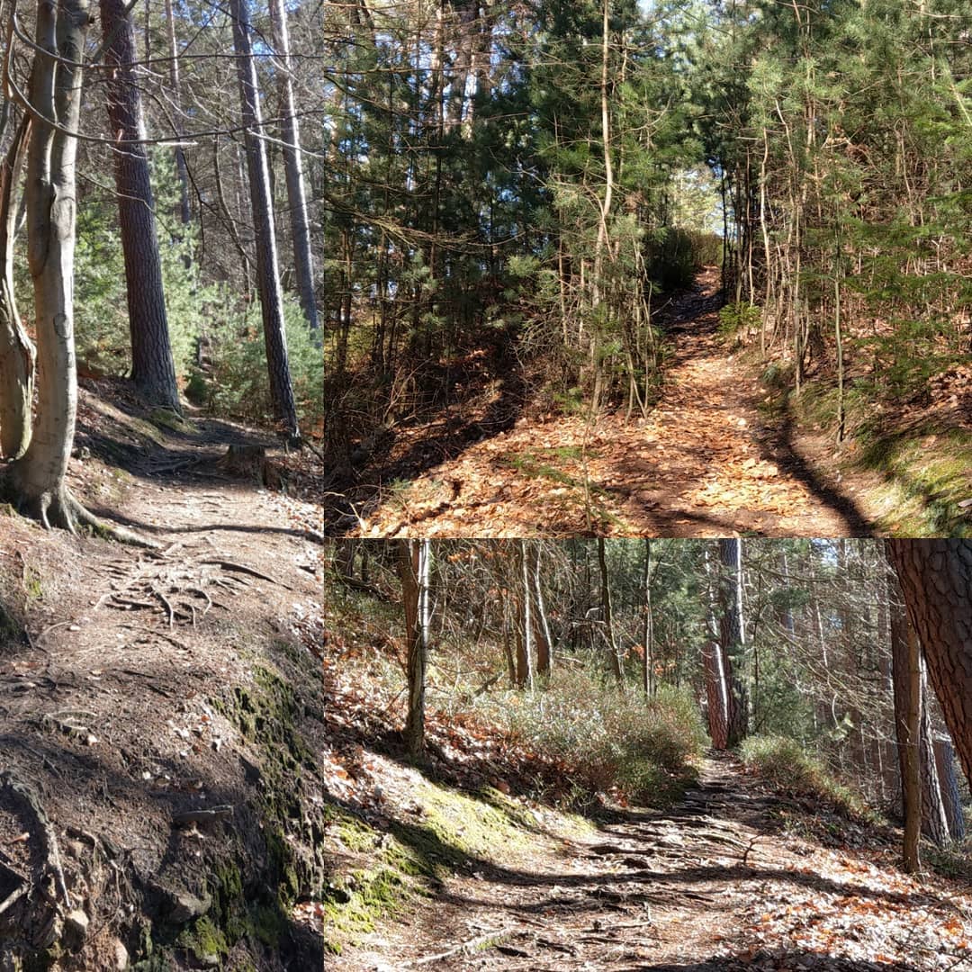 Aufstieg zur Stirnhelle 