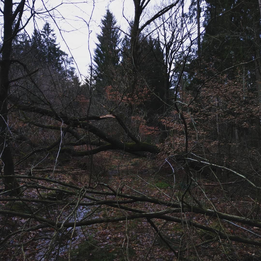 Durch das Wetter liegt viel im Weg 