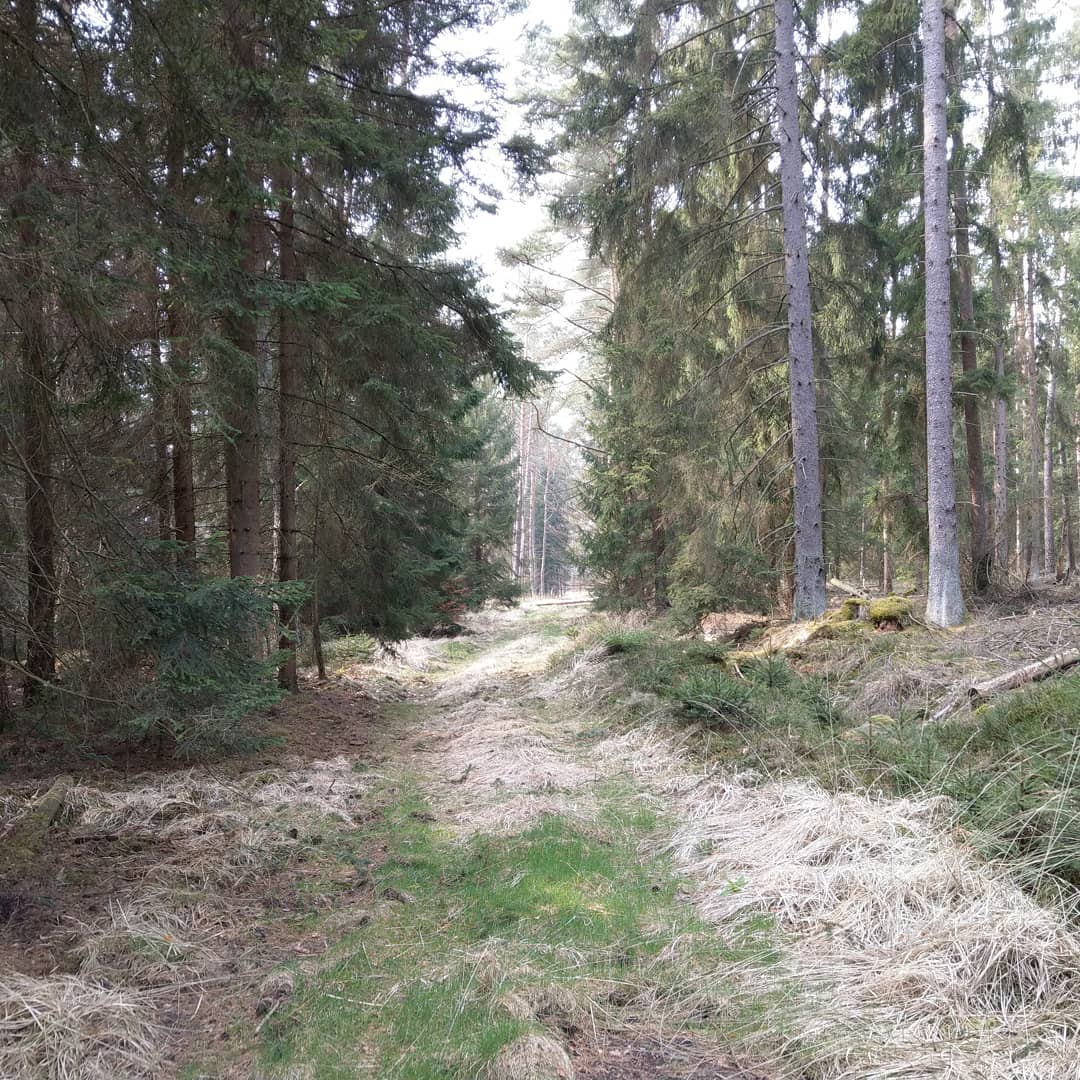 Es wird langsam grün 