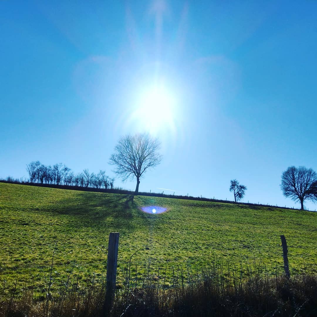 Ich wünsche einen schönen Sonntag 😎 