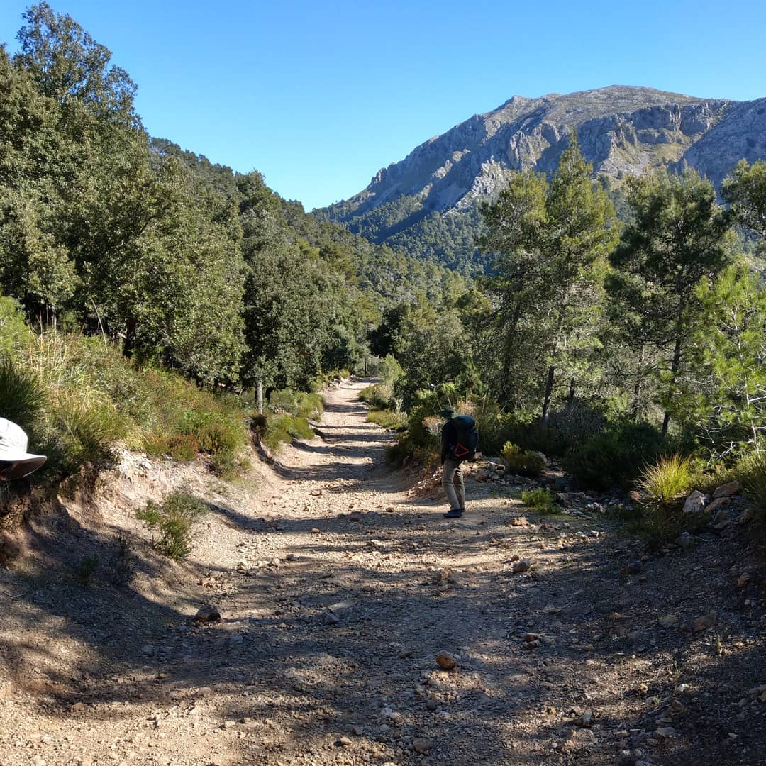 Letzte Etappe der Tour ... Schöner Ausklang 