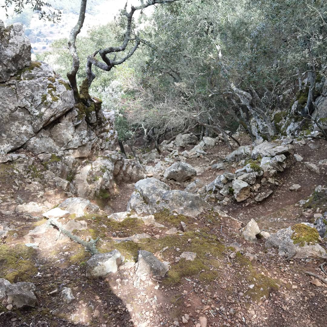 Mal ein Abstieg, das braune ist der Weg 