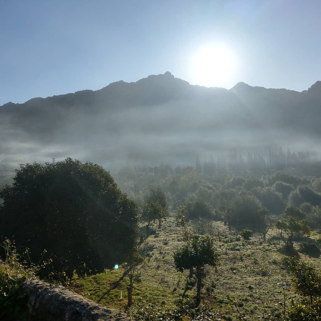 Morgenstimmung auf dem GR221... 