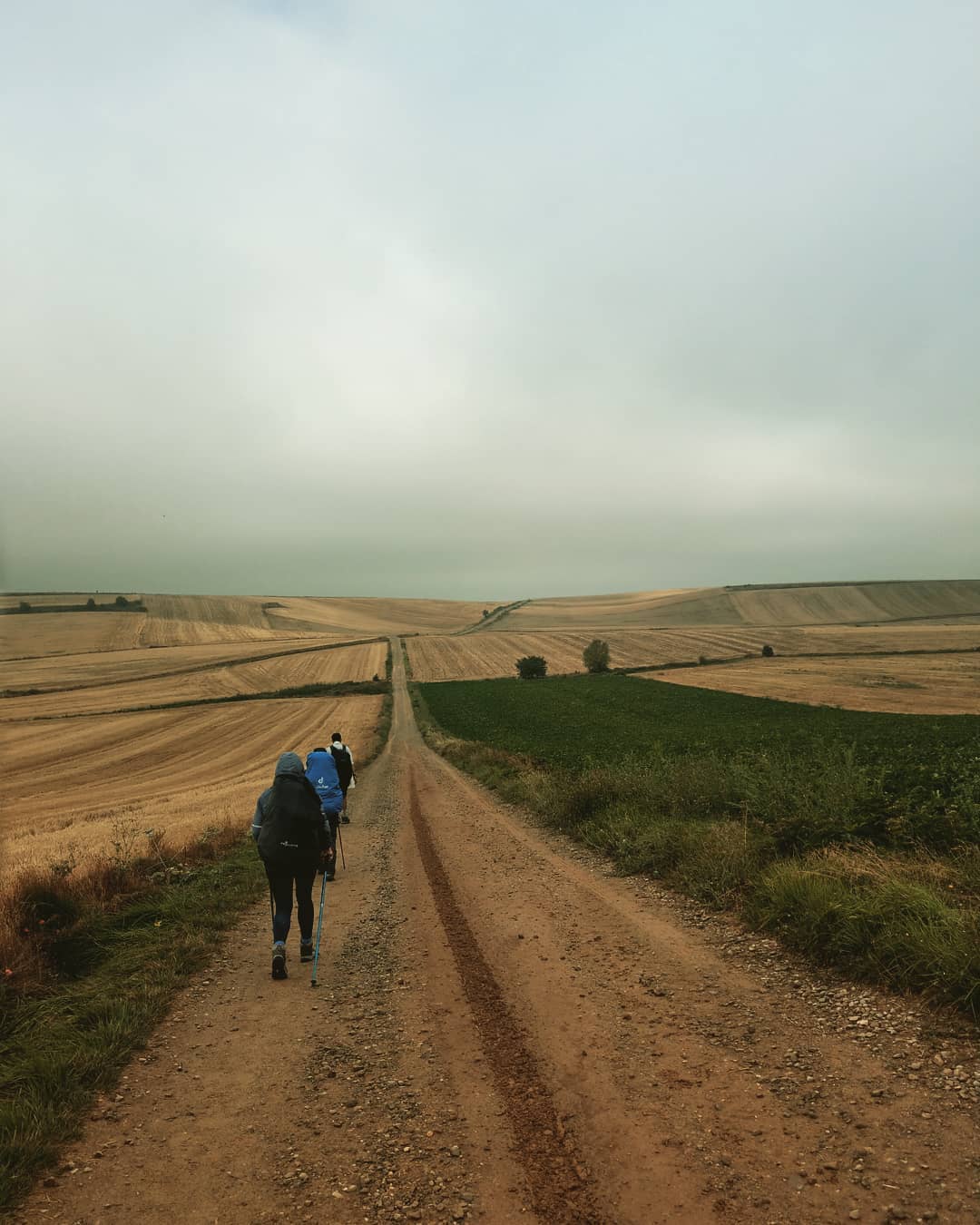 Bei dem Wetter würde ich lieber wieder hier laufen 