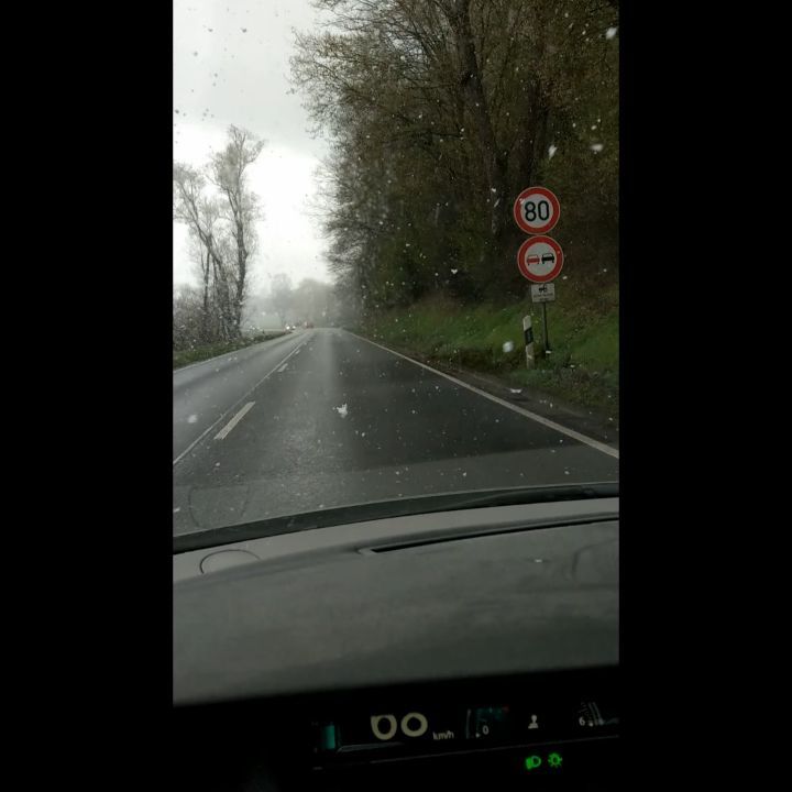 Der Frühling ist da... 🤔 