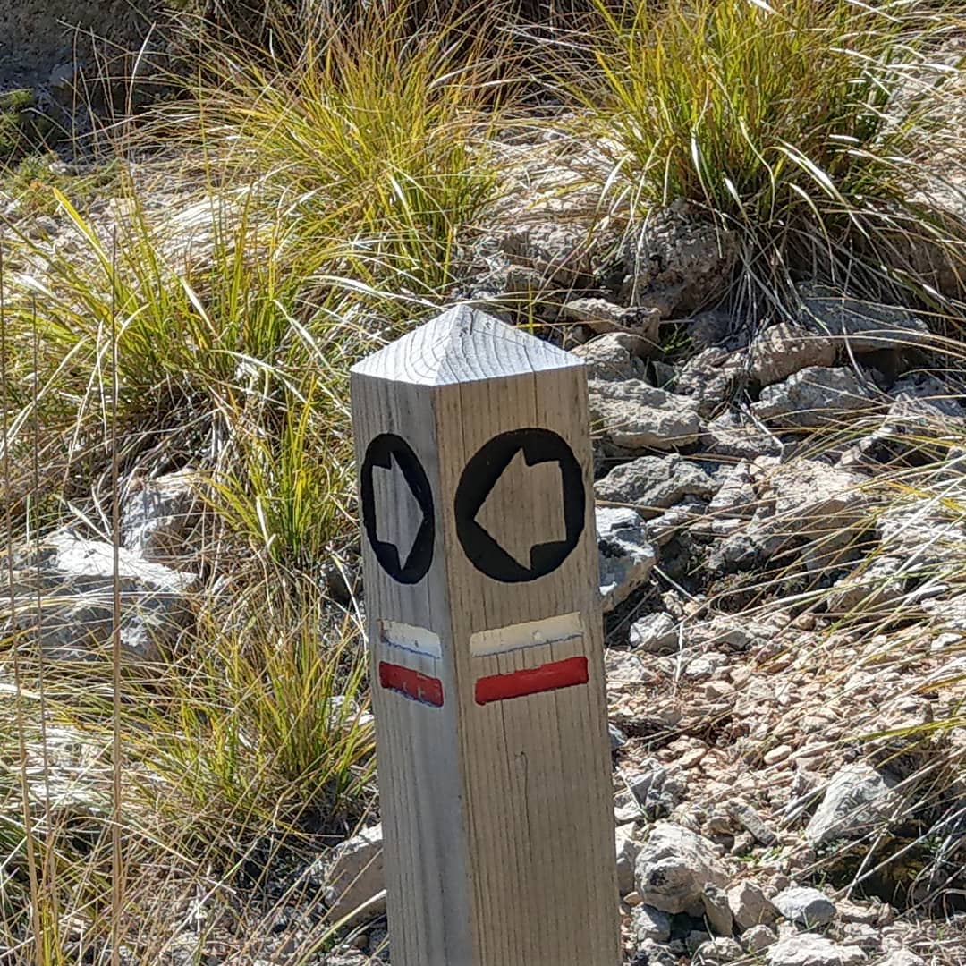 Immer den Pfeilen folgen ... 