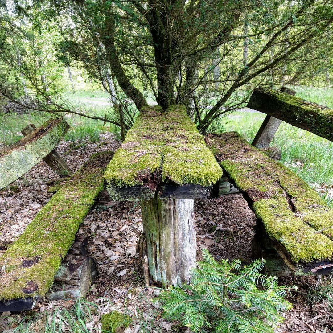 Die Bank hat schon länger Pause 