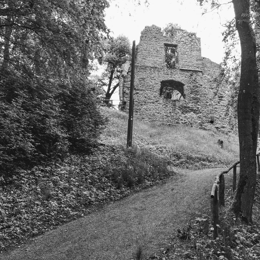 Schloss Rauschenberg 