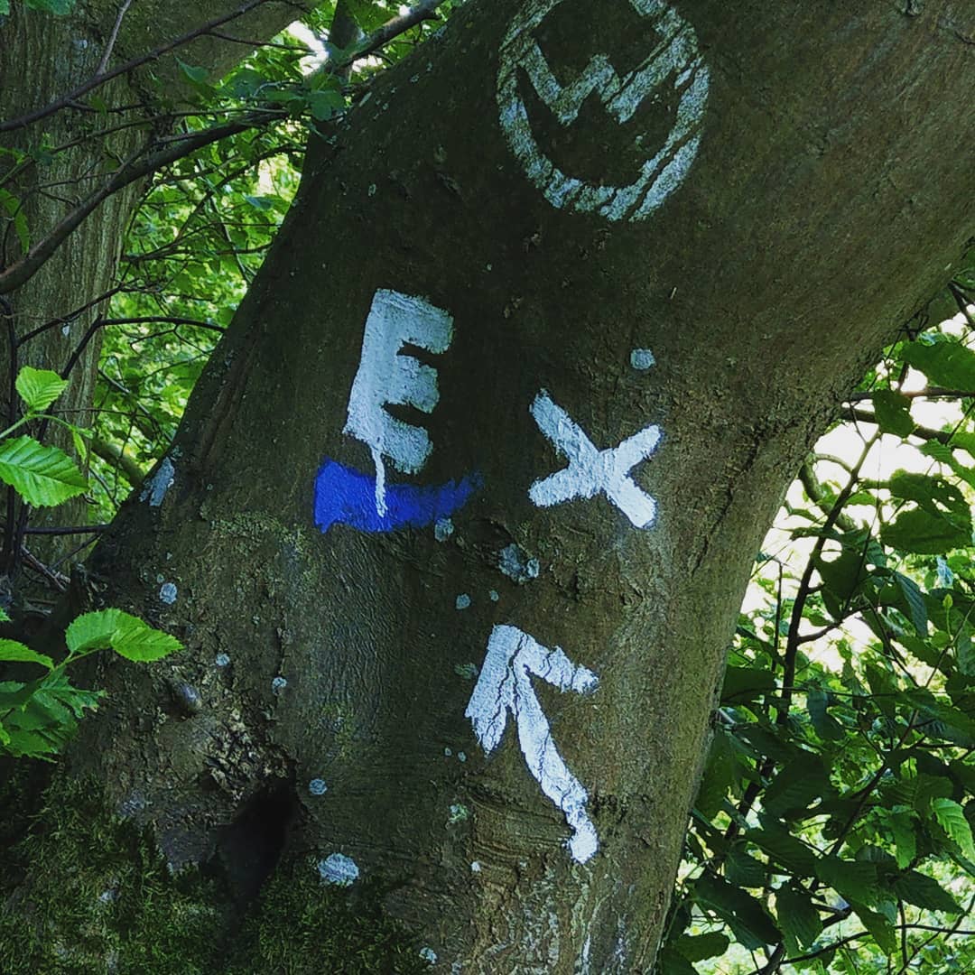 Das sind ein paar Eindrücke des Ederhöhenweg zwischen Beddelhausen nach Battenberg. Die ca. 30 km lange Etappe geht hauptsächlich durch Wald und die Ederauen. 