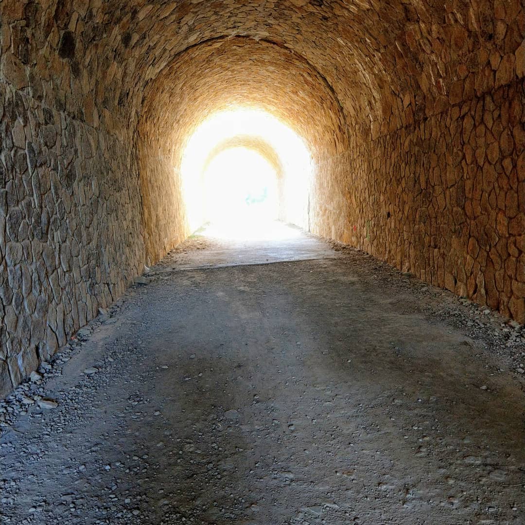 Keine 100 Tage mehr dann geht es wieder immer der Muschel nach. Langsam steigt die Vorfreude 😎 